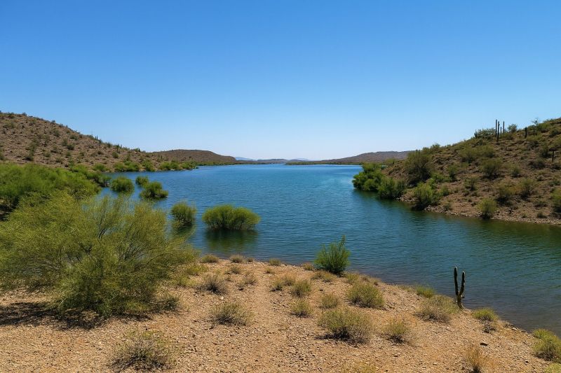 Hero for Home Services Options