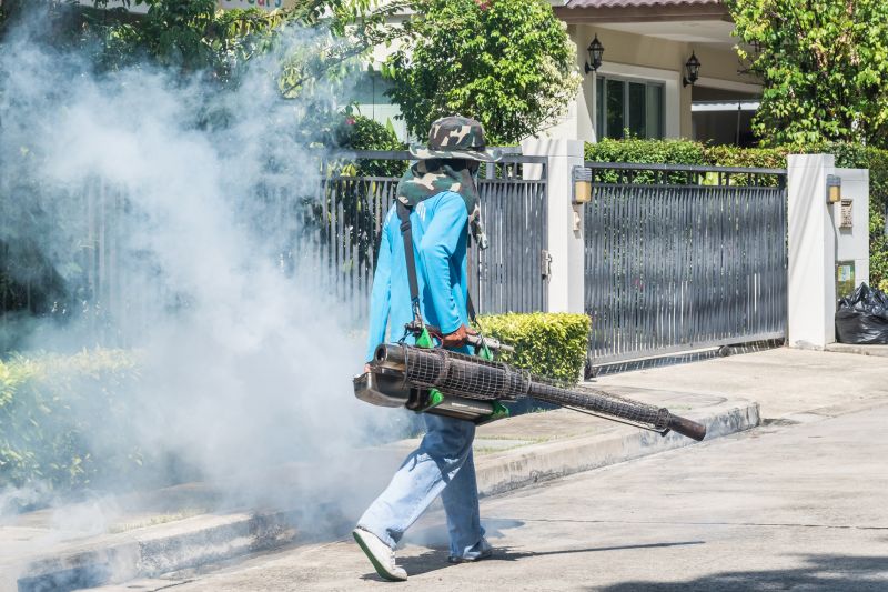 Smoke Remediation Service